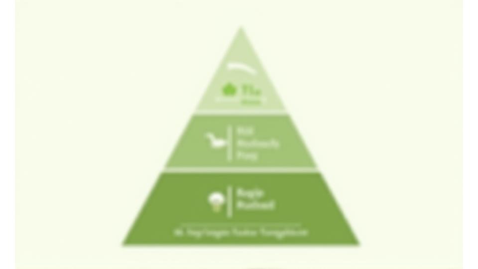 Interaktive Nährstoff-Pyramide für Katzen mit Fokus auf Fleisch, wenig Kohlenhydrate und essentielle Fette.