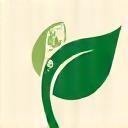 Blatt Icon